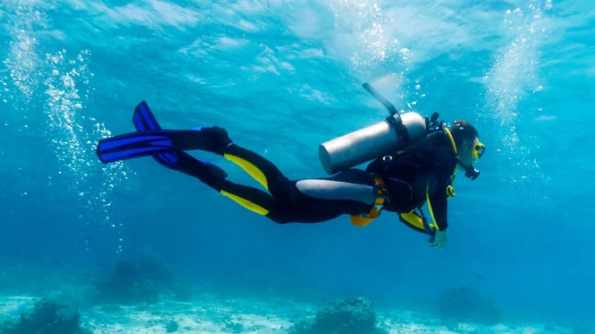 Daily Bodrum Scuba Diving Tour from Didim 2
