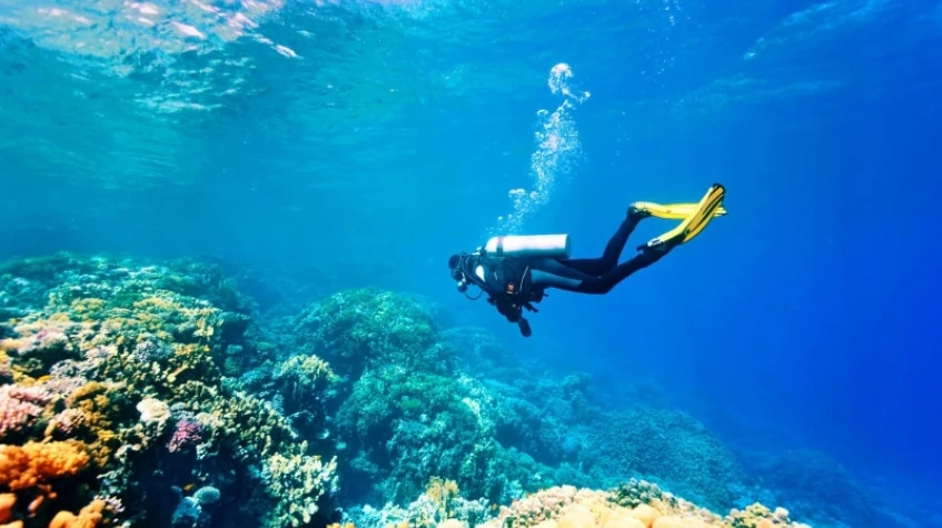 Daily Didim Scuba Diving Tour 3