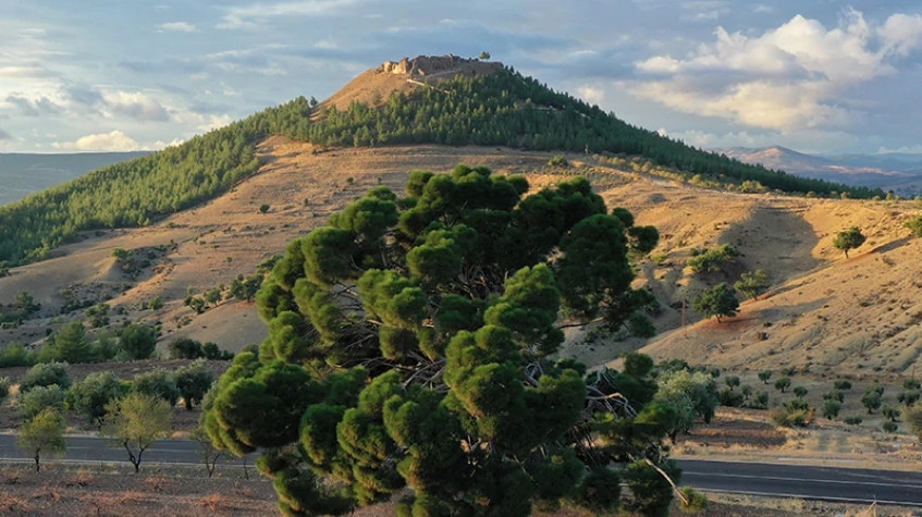 Daily Kilis City Tour 8