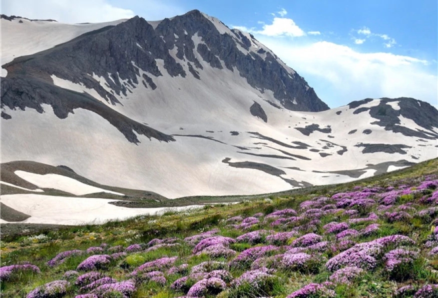 Daily North Tunceli Tour 9