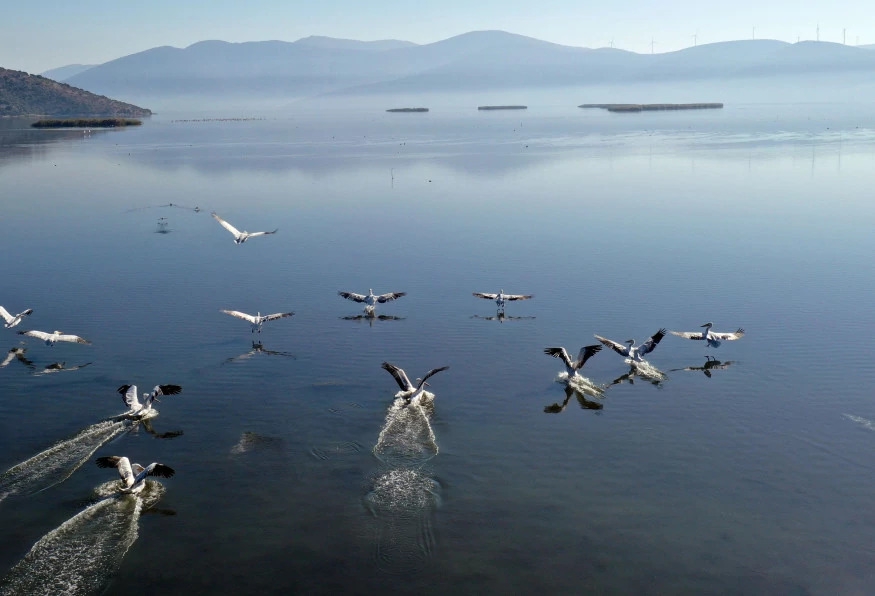 Daily Bafa Lake Tour from Selcuk 7
