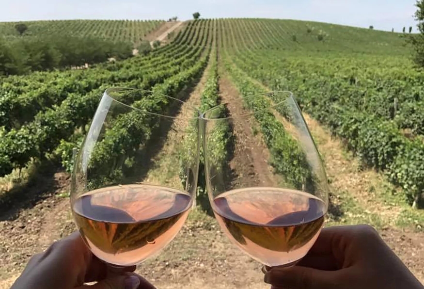 5 Days La Vie Est Belle & Azerbaijani Wines Tour 5