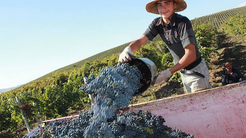5 Days La Vie Est Belle & Azerbaijani Wines Tour 9