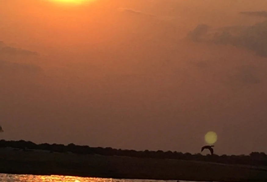 5 Days Victoria Falls Tour and Chobe Game Drive 11
