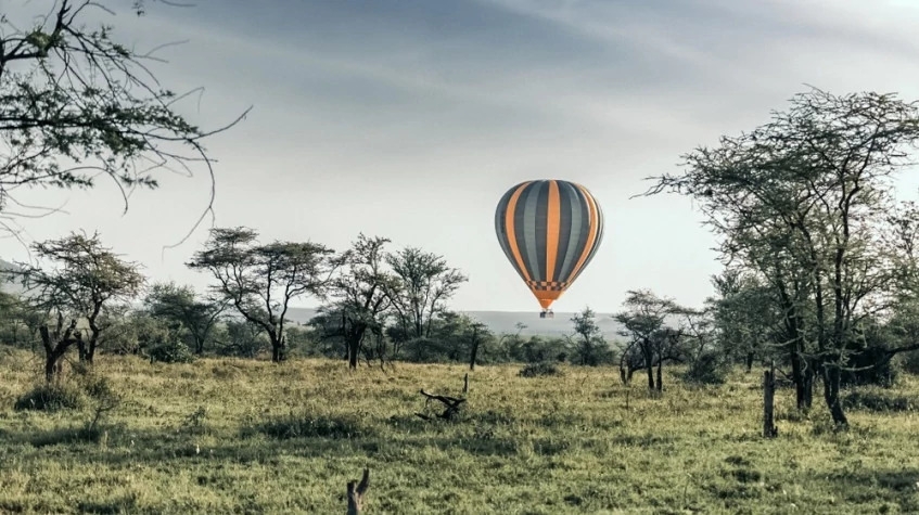 Tanzania North Safari 4