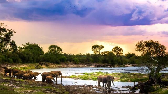 Safari in Tarangire, Lake Natron and Ngorongoro
