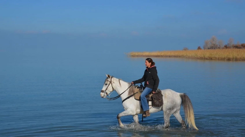 Horse Riding At the Golden Sandy Beach of Antalya 5