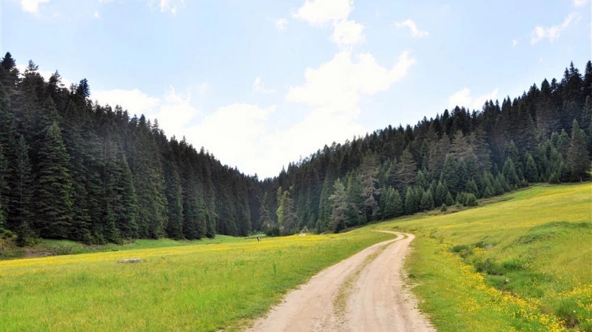 Daily Duzce Suv - Off-Road Safari Tour 2