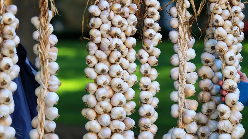 Daily Fethiye Tuesday Market Tour from Dalyan 4