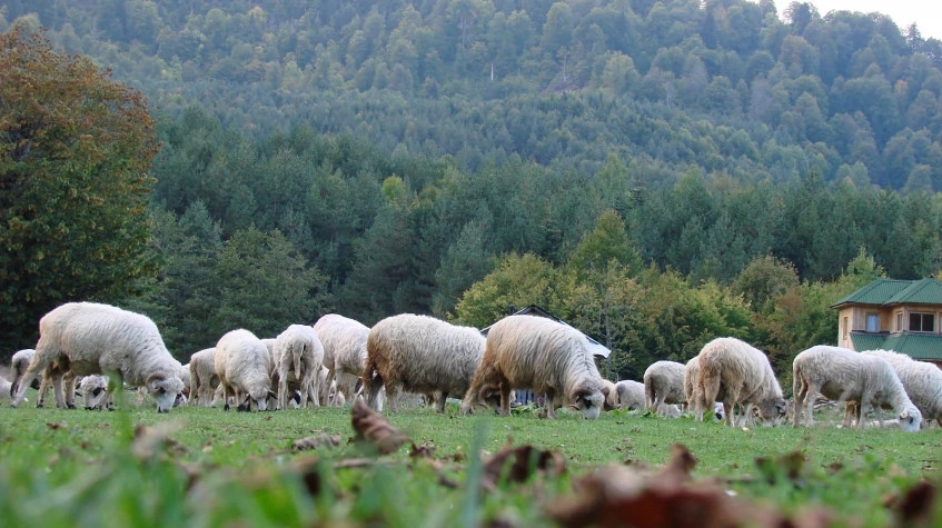 Zonguldak Trekking Tour Turkey 7