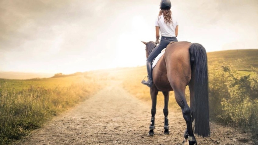 6 Days Horse Riding Package Bodrum Tour 13