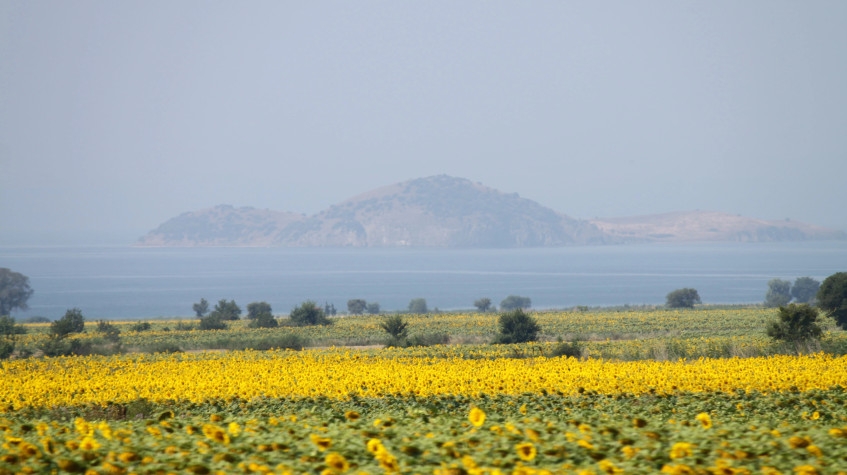 Daily Gallipoli Tour from Istanbul 9