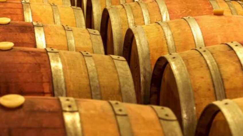 Cappadocia Vineyards & Wine Tasting Experiences 5