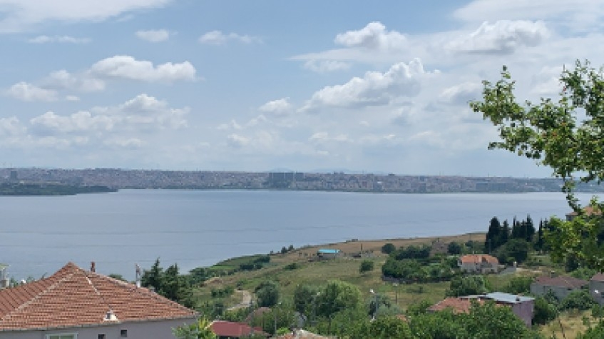 Daily Istanbul Planting Seedlings/Harvest Tour 8