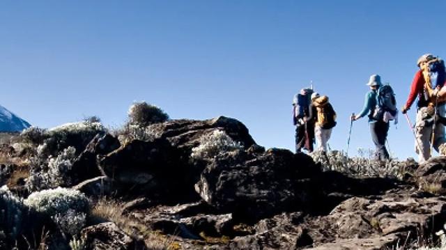 6 Days Rongai Route Kilimanjaro Climb