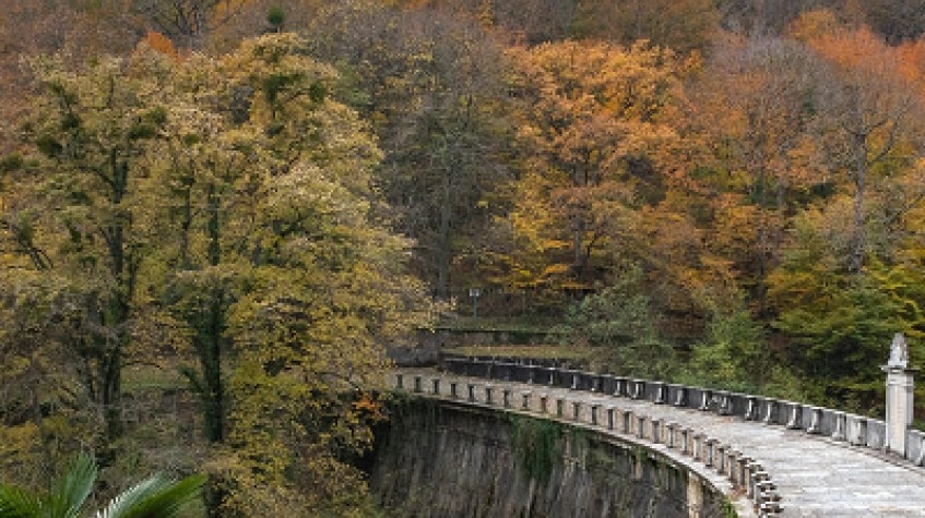 Full Day Outdoor Nature Tour / Rumeli Fortress, Belgrad Forest & More 2